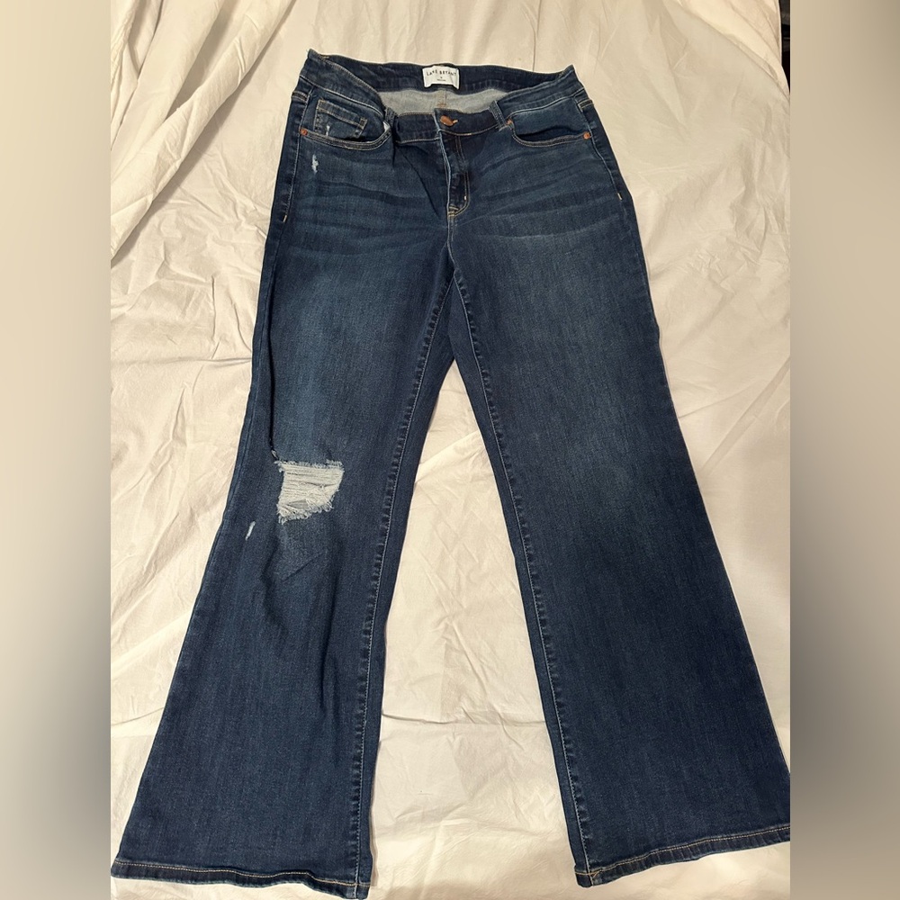 Lane Bryant Dark Blue Straight Leg Jeans